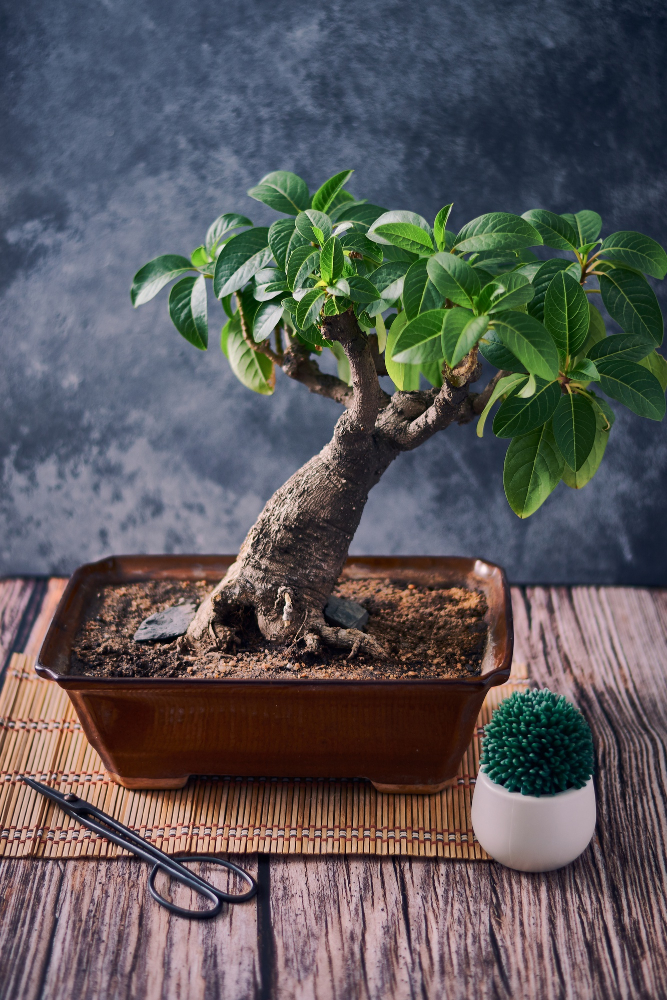 vertical-closeup-shot-small-exotic-plant-growing-pot